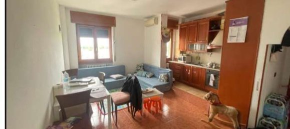 2 rooms Apartment in Baranzate, Italy No. 331482 4