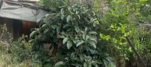 Terreno en Polinyà, Spain 275 m² No. 179176 18