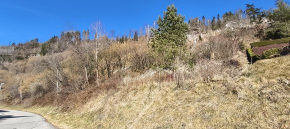  قطعة أرض في Kapfenberg, Austria رقم 130606 4