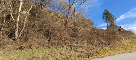  قطعة أرض في Kapfenberg, Austria رقم 130606 6