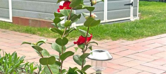 5 Schlafzimmer Stadthaus in Wandsbek, Germany, Nr. 231914 7