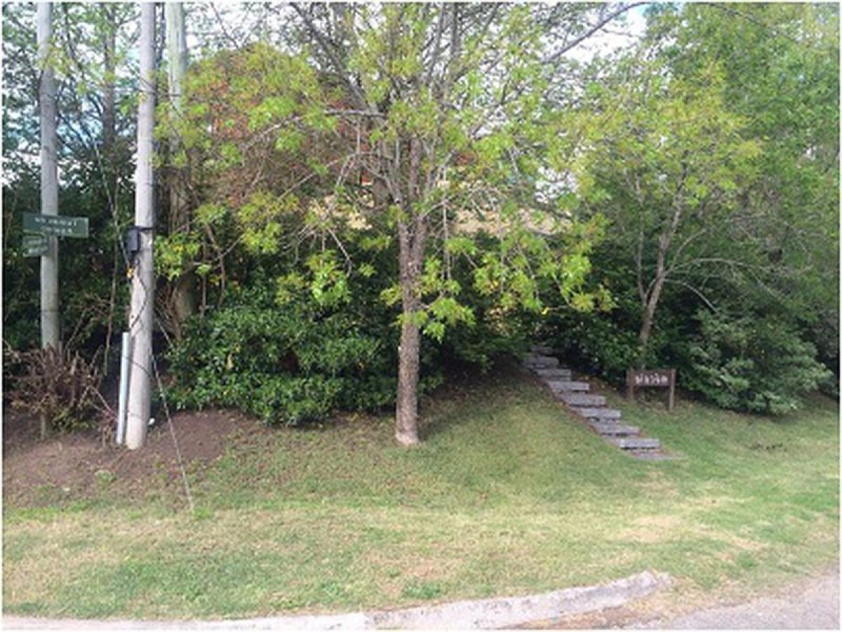 3 Schlafzimmer Haus in Maldonado, Uruguay, Nr. 8858