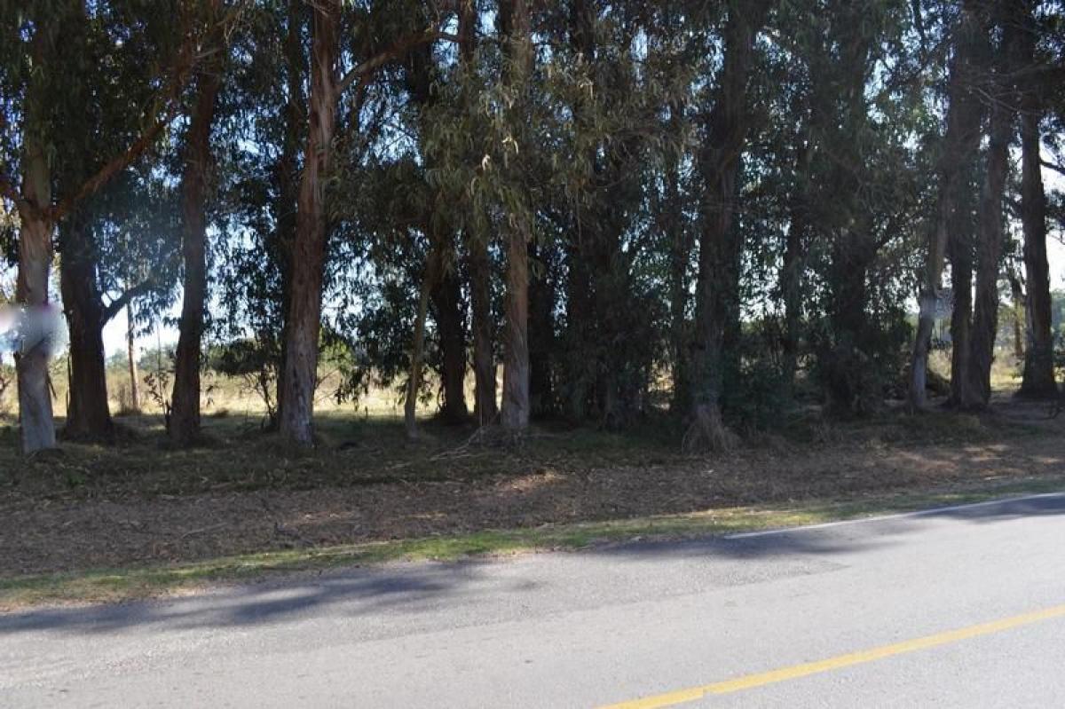  قطعة أرض في Maldonado, Uruguay رقم 15735