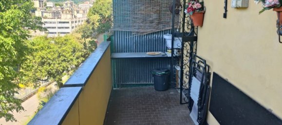 3 chambres Appartement à Genoa, Italy No. 352323 11