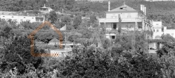 9 Schlafzimmer Haus in Abrunhosa a Velha, Portugal, Nr. 41390 46