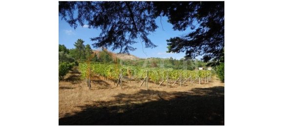 9 Schlafzimmer Haus in Abrunhosa a Velha, Portugal, Nr. 41390 32