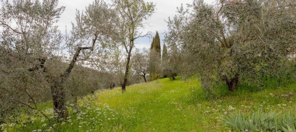 Villa de 15 divisões em Poggio a Caiano, Italy N.º 150373 44