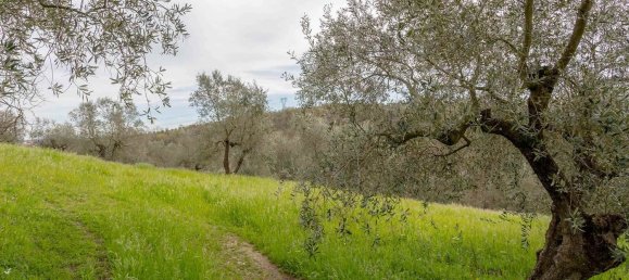 Villa de 15 divisões em Poggio a Caiano, Italy N.º 150373 43