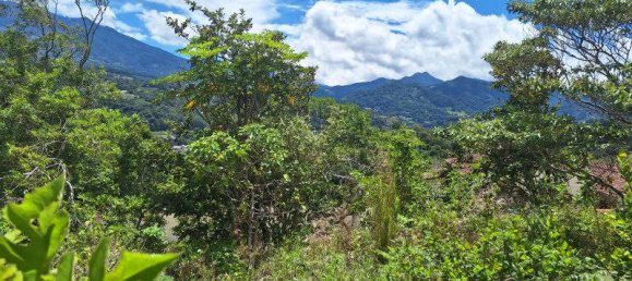 Property in Boquete, Panama, Nr. 6 5
