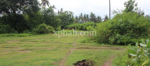 Terreno en West Nusa Tenggara, Indonesia 12000 m² No. 4081 19