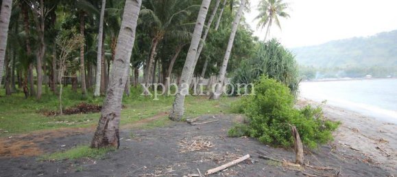 Terreno en West Nusa Tenggara, Indonesia 12000 m² No. 4081 4