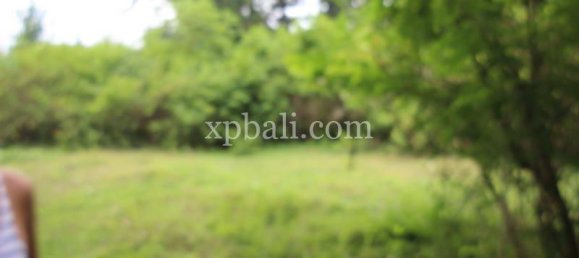 Terreno en West Nusa Tenggara, Indonesia 12000 m² No. 4081 21