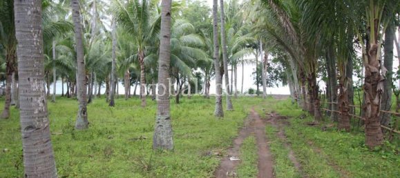 Terreno en West Nusa Tenggara, Indonesia 12000 m² No. 4081 9