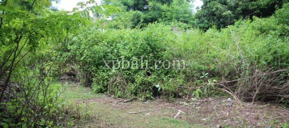 Terreno en West Nusa Tenggara, Indonesia 12000 m² No. 4081 22