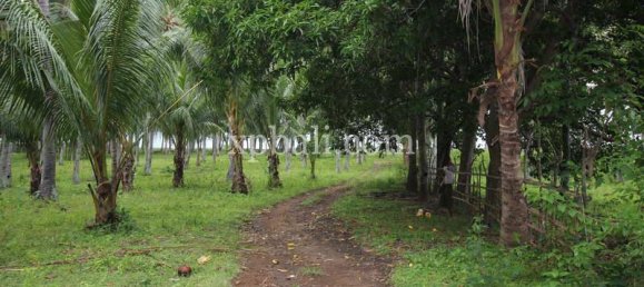 Terreno en West Nusa Tenggara, Indonesia 12000 m² No. 4081 12