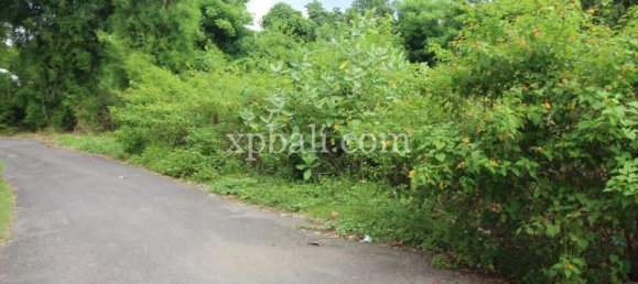 Terreno en West Nusa Tenggara, Indonesia 12000 m² No. 4081 16