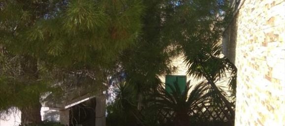 7 bedrooms Villa in Penteli, Greece No. 5832 9