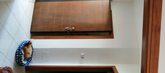 8 rooms House in Vibonati, Italy No. 253936 18