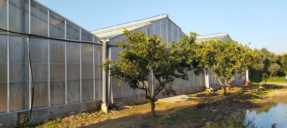  قطعة أرض في Decimomannu, Italy 13000متر مربع رقم 83217 2