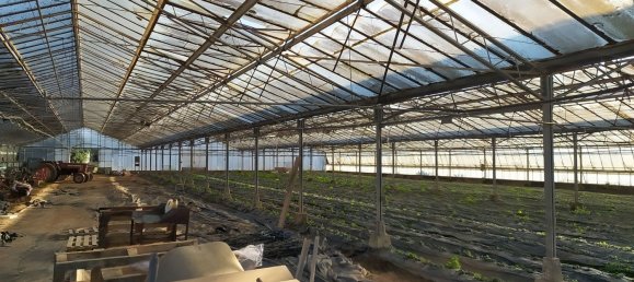  قطعة أرض في Decimomannu, Italy 13000متر مربع رقم 83217 7