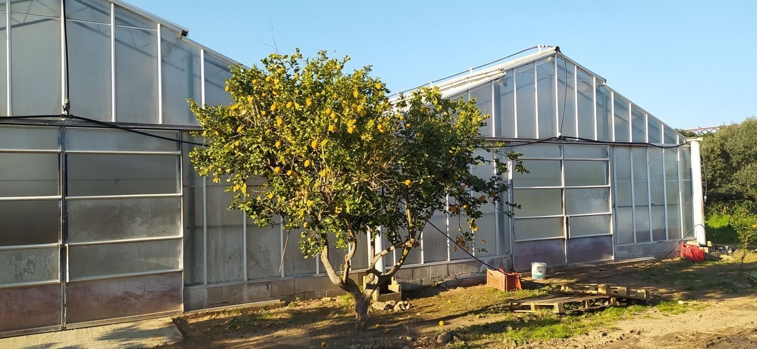  قطعة أرض في Decimomannu, Italy 13000متر مربع رقم 83217