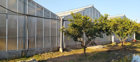  قطعة أرض في Decimomannu, Italy 13000متر مربع رقم 83217 3