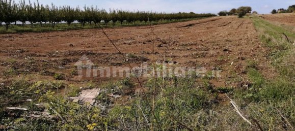 Casa de 2 dormitorios en Pachino, Italy No. 68425 10