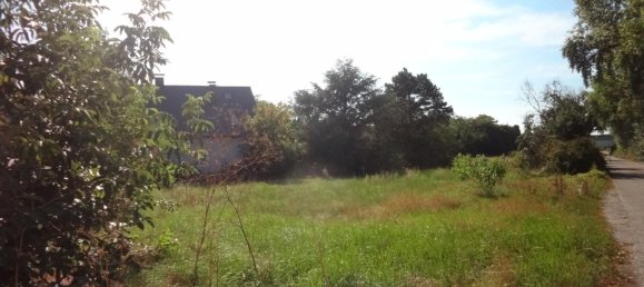 5989m² Land in Schwechat, Austria No. 235756 2