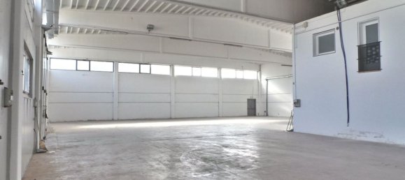 Almacén en Udine, Italy 1000 m² No. 352294 3