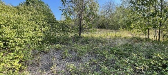 100m² Land in Santa Giuletta, Italy No. 62499 8