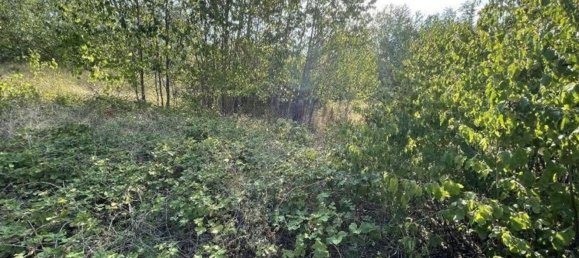 100m² Land in Santa Giuletta, Italy No. 62499 24
