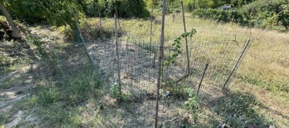 100m² Land in Santa Giuletta, Italy No. 62499 4