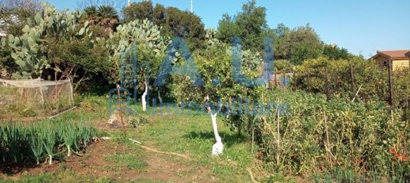 3 bedrooms Villa in Altavilla Milicia, Italy No. 342098 14