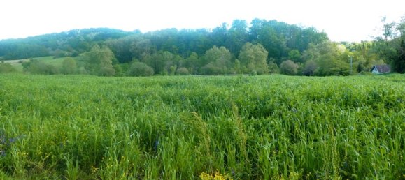 Земельный участок 700м² в Саль-де-Беарн, Франция № 88569 2