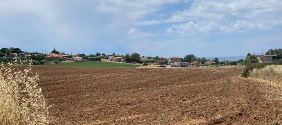 14500m² Hotel in Chalkidiki, Greece No. 3626 6