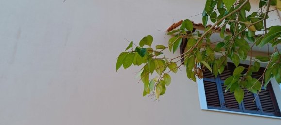 5 chambres Propriété commerciale à Chrysoupoli, Greece No. 2305 5