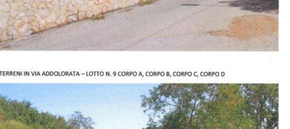 5-Zimmer Wohnung in San Nicola Baronia, Italy, Nr. 93651 22