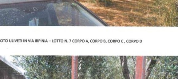 5-Zimmer Wohnung in San Nicola Baronia, Italy, Nr. 93651 20