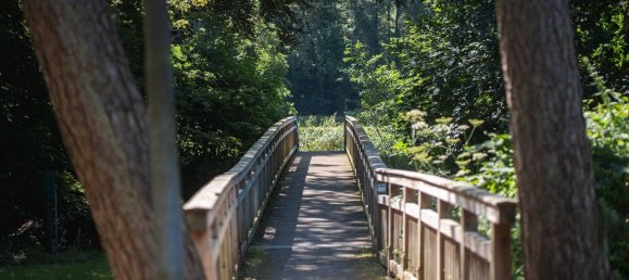  Land in Rotenburg, Germany No. 152543 6