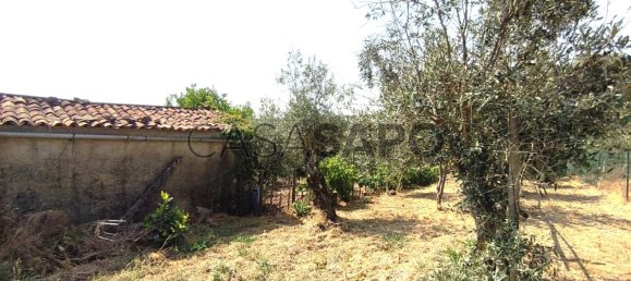 1 bedroom House in Pedrogao Grande, Portugal No. 306321 49