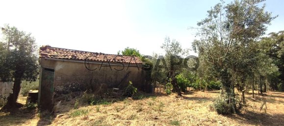 1 bedroom House in Pedrogao Grande, Portugal No. 306321 44