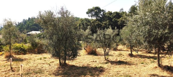 1 bedroom House in Pedrogao Grande, Portugal No. 306321 46