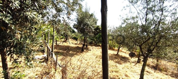 1 bedroom House in Pedrogao Grande, Portugal No. 306321 41