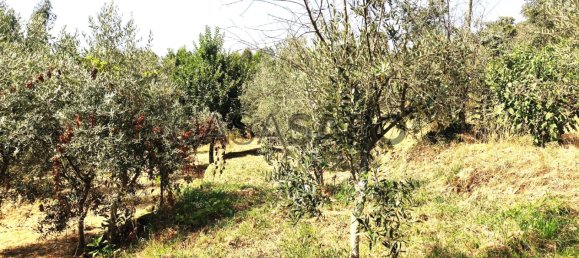 1 bedroom House in Pedrogao Grande, Portugal No. 306321 42