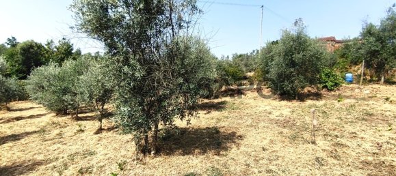 1 bedroom House in Pedrogao Grande, Portugal No. 306321 47