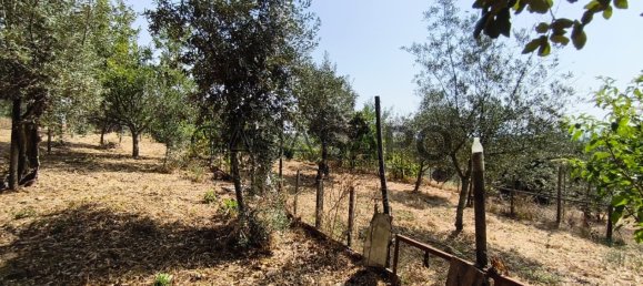 1 bedroom House in Pedrogao Grande, Portugal No. 306321 43