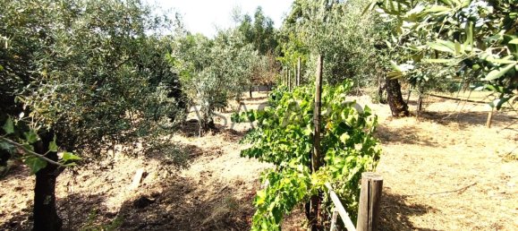 1 bedroom House in Pedrogao Grande, Portugal No. 306321 48