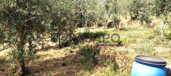 1 bedroom House in Pedrogao Grande, Portugal No. 306321 45