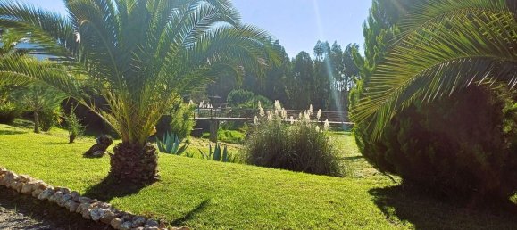 بناية في Santiago do Cacem, Portugal 867متر مربع رقم 55602 15