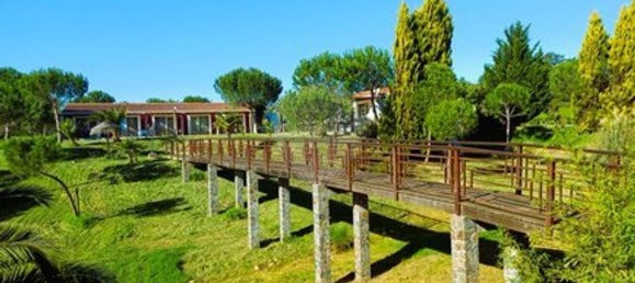 بناية في Santiago do Cacem, Portugal 867متر مربع رقم 55602 4